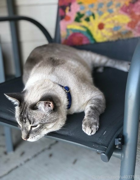 wolf6actual erotic model img