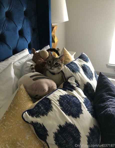 wolf6actual pornographic star photos