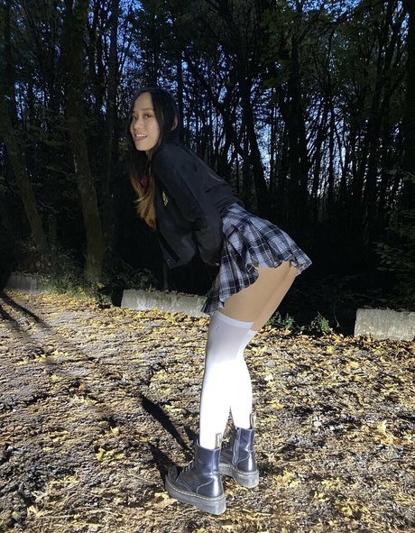 elixir elf star perfect image