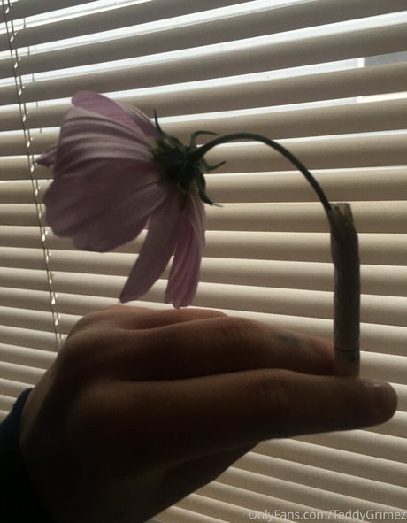 lewdology best model picture