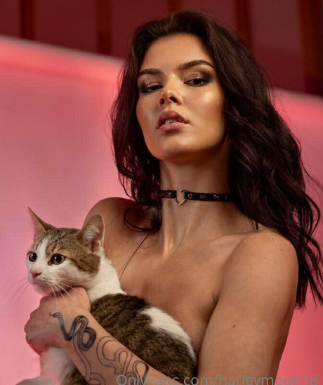 rekadora star hd images