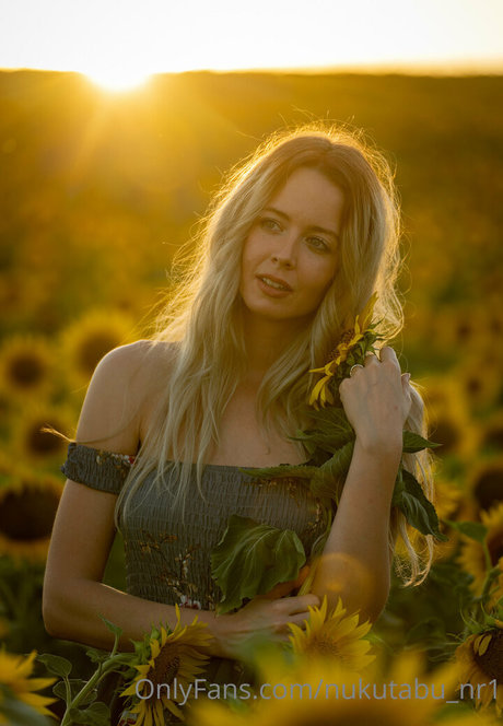 nukutabu nr1 hd pornstar gallery