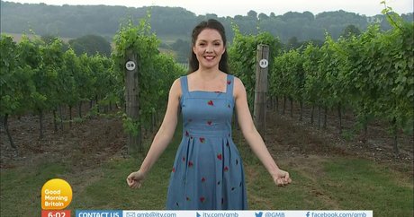 Laura Tobin beautiful actress photo