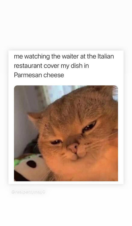 mark magnus420 pornstar free archive