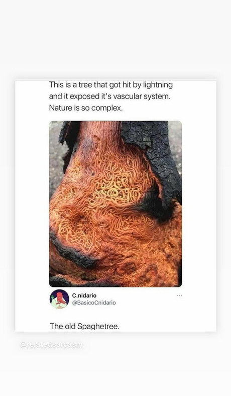 mark magnus420 nice pornstar archive