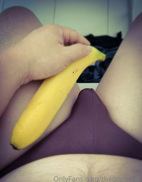 theory bear star best galleries