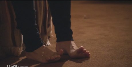 Piper Perabo porn star picture