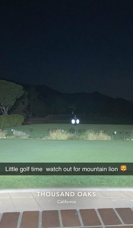 realbrandon818 star nice images