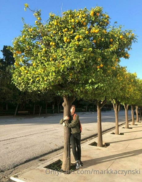 markkaczynski nudes pornstar galleries