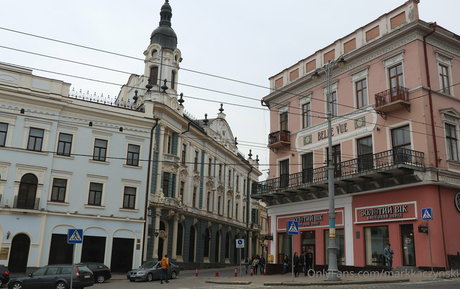 markkaczynski best star gallery