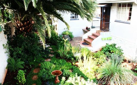 leaandbear star beautiful pictures