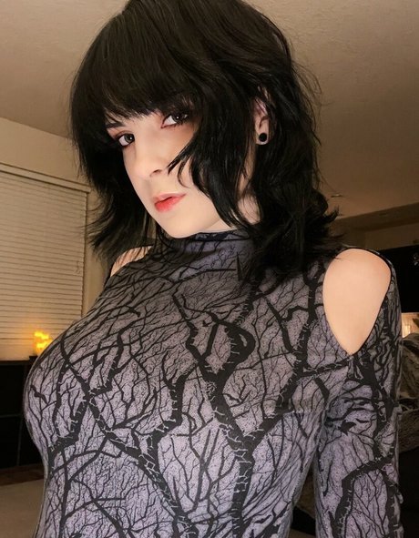 Hiso Neko hd star picture