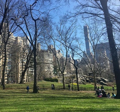 Clelia Theodorou star beautiful galleries