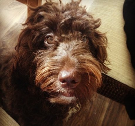 Clelia Theodorou model pornographic pic