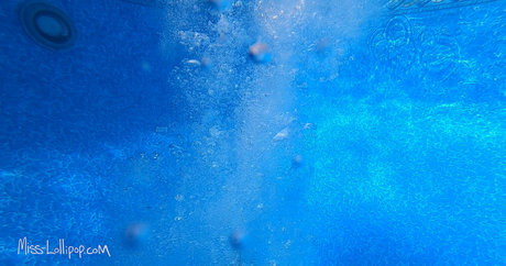 lacey royce porn actress gallery