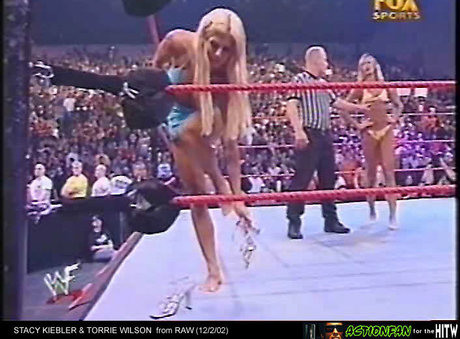 Torrie Wilson art actress archive