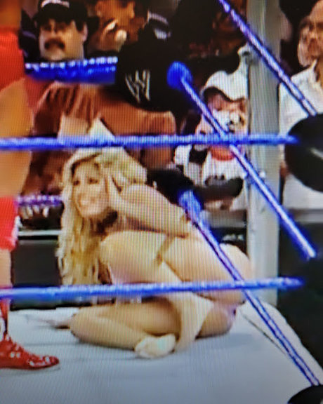 Torrie Wilson sex model gallery