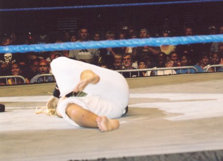 Torrie Wilson star pornographic galleries