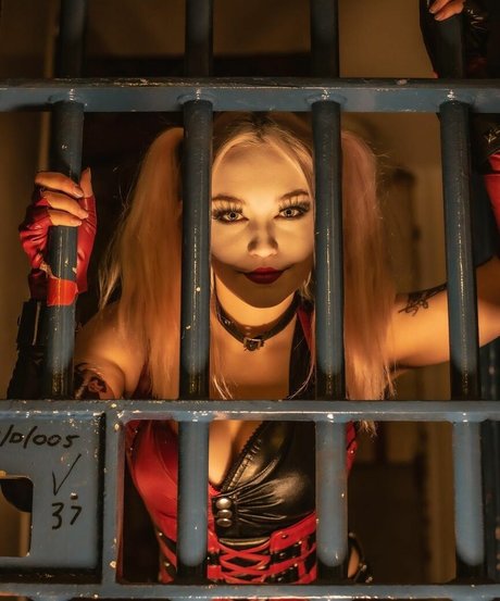 x psychotic wildcard x model gallery