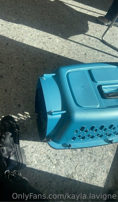 feetiecutieee adult actress img