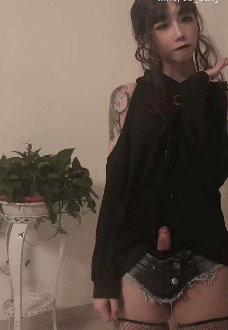 shiliuyelei perfect star galleries