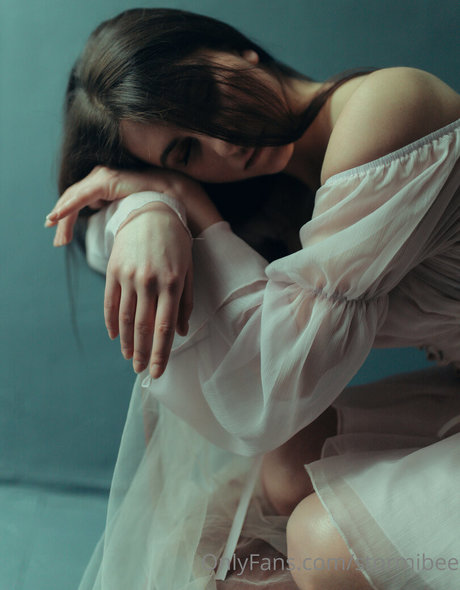 stormibee model top img