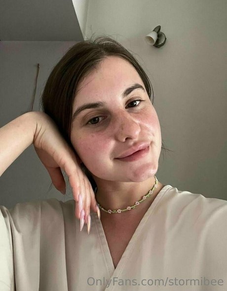 stormibee hot model archive