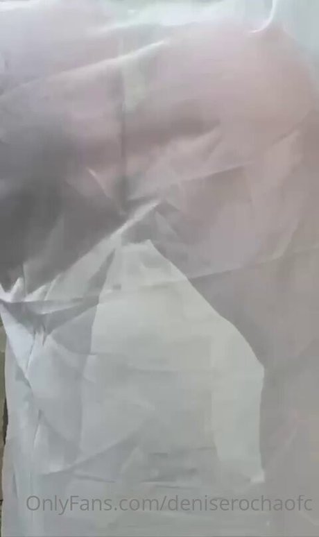 Denise Rocha pornstar art pictures