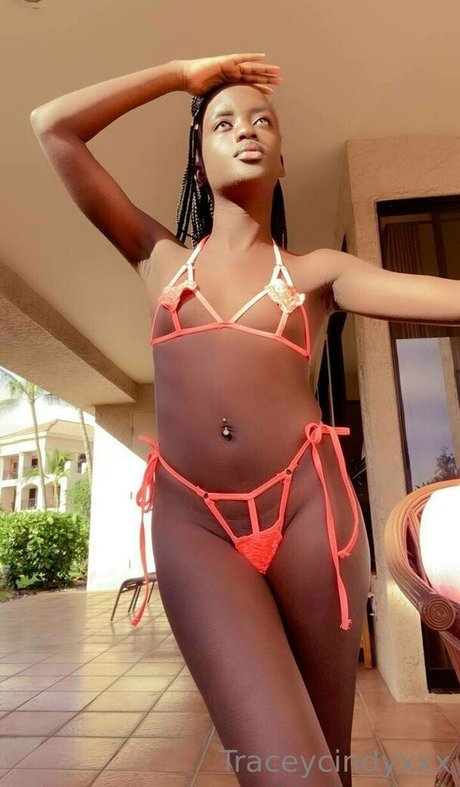 tastytracey18 beautiful star gallery