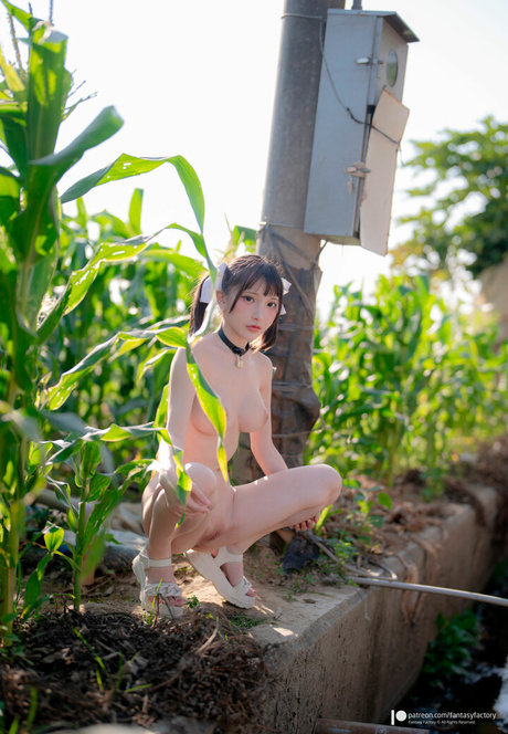 Fantasy Factory nude model images