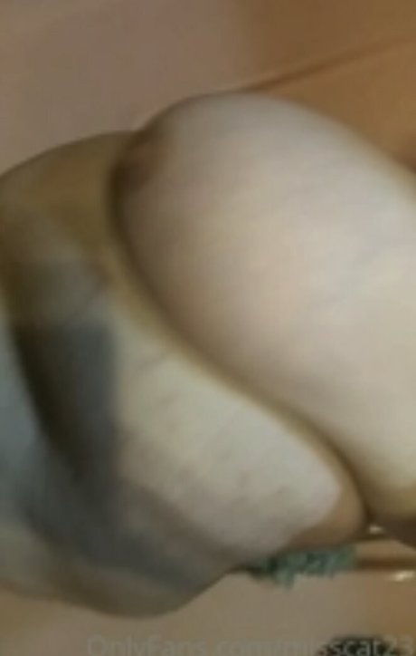 Misscat23 top star pictures