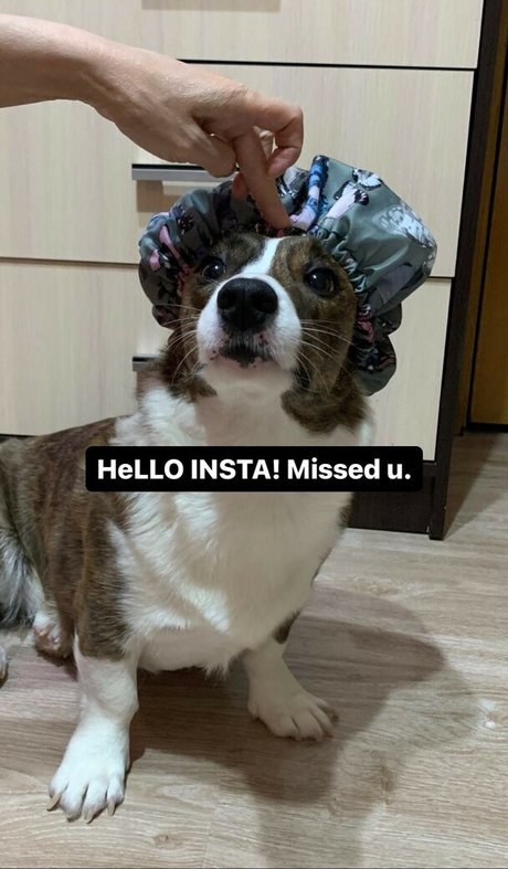 Lezzy Bunny ASMR top model image