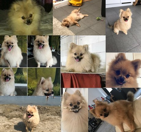 siswetlive porn star pictures