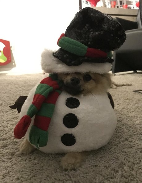 nasty onlyfans sexy photos