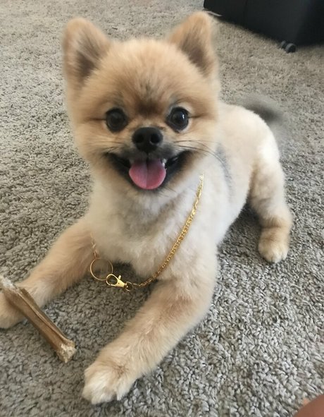 siswetlive xxx model pictures