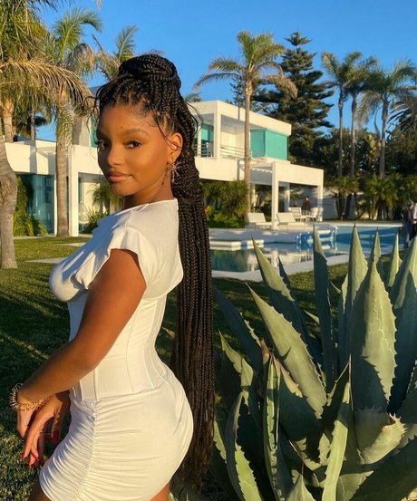 Halle Bailey star pornographic archive