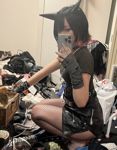 mezase kyonyu star photos