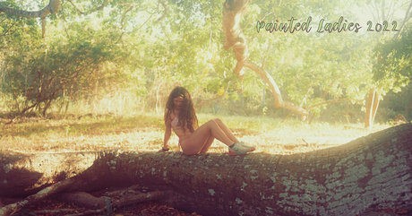 issameg pretty star images