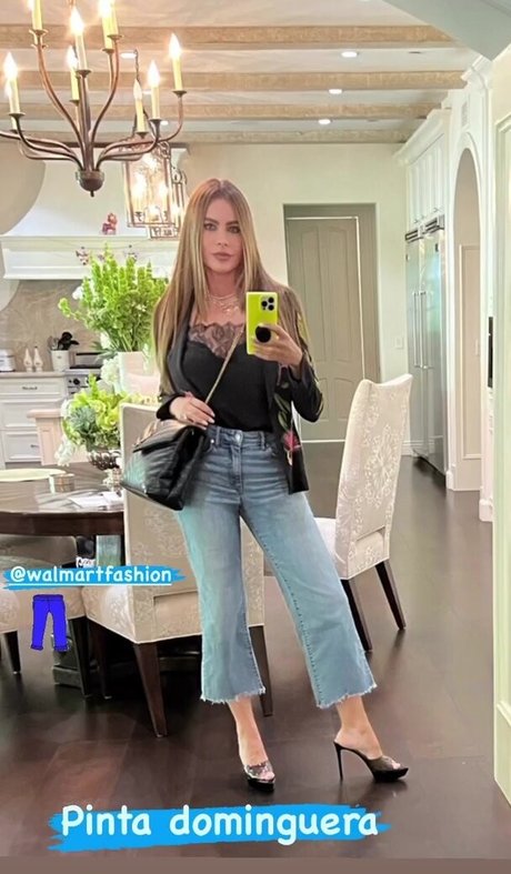 Sofia Vergara adult star img