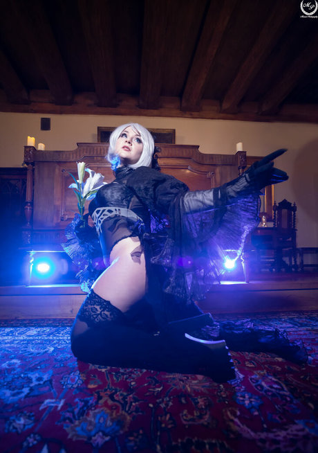 Shappi workshop xxx model archive