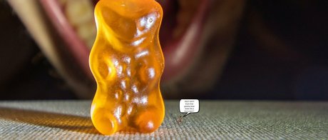 macrocole pornstar hd archive