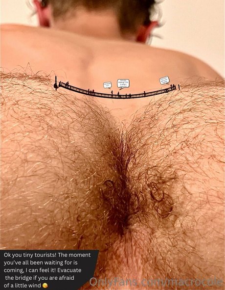 macrocole art actress archive