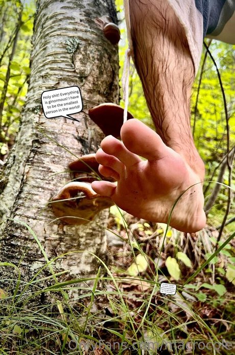 arab pussy onlyfans free pic