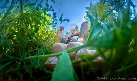 macrocole pornstar erotic photo