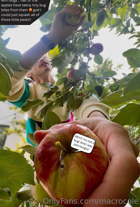 macrocole model archive