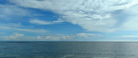 Lionrynn star sex gallery