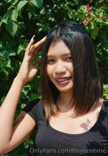 tinyjasmine nice star galleries