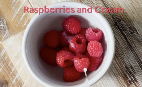 bunnycovered pornstar top image