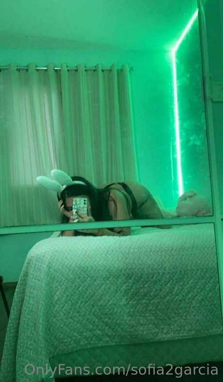 sofia2garcia best model img