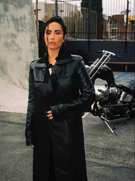 Demi Lovato pornstar gallery